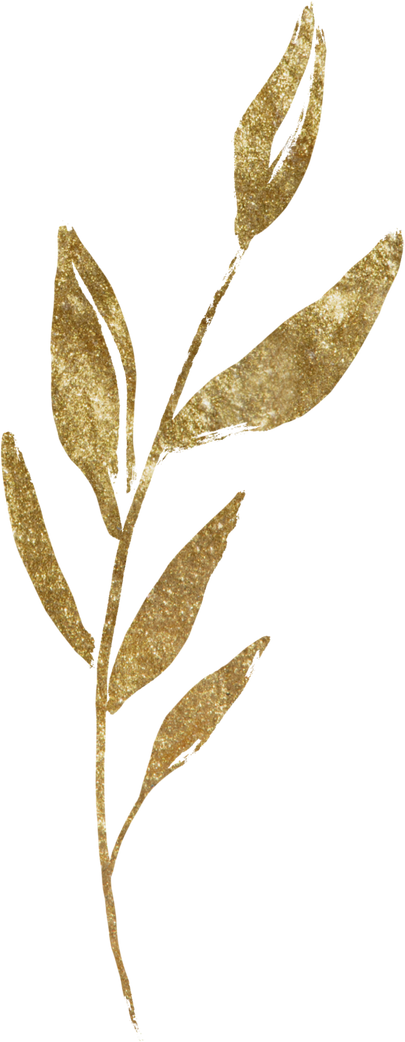 gold leaves illustration