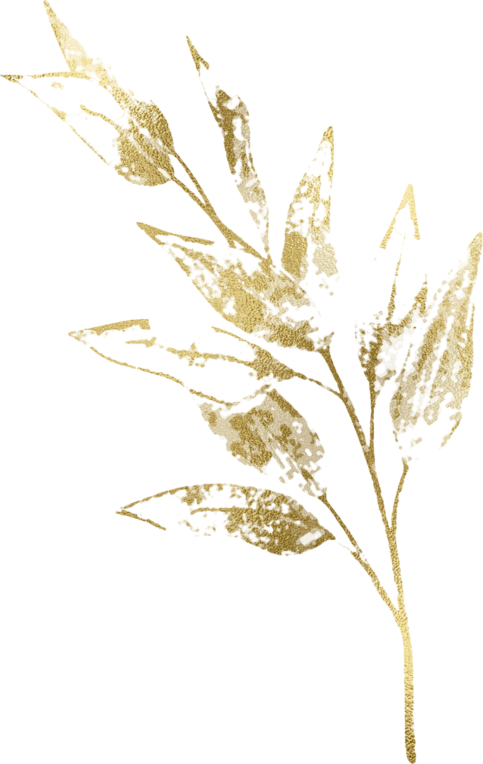 Eucalyptus branch Gold foil Watercolor Clipart